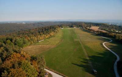 Hundeauslaufgebiet-Flugplatz-Bild