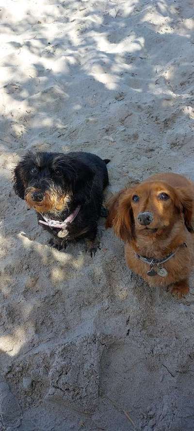 Fotochallenge Nr. 94 It's summer time-Beitrag-Bild