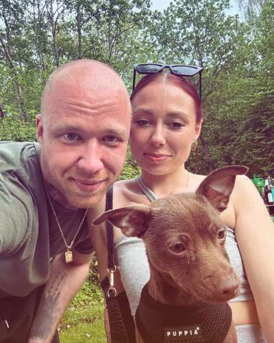 Hundetreffen-Chihuahua Mix 5 Monate sucht Spielpartner-Bild