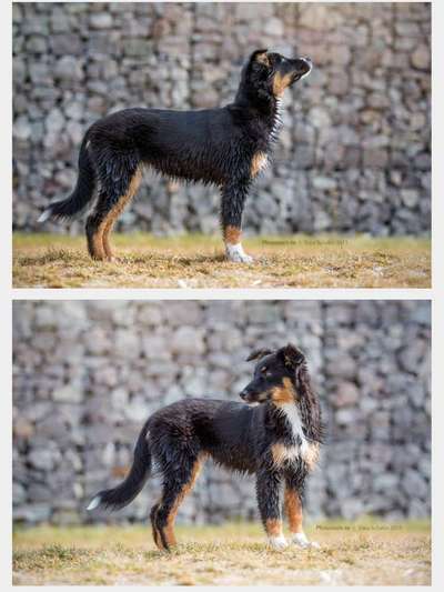 Vorher.... Nachher-Beitrag-Bild