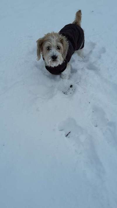 Pullis, Jacken, Hütte und alles sonstiges-Beitrag-Bild