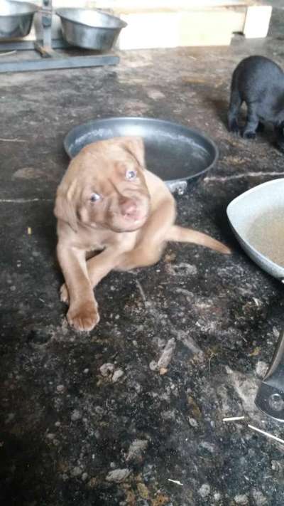 Fotochallange Nr. 57     PORTRÄT.   Beendet!!!!!!!!-Beitrag-Bild