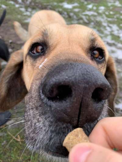 Fotochallange Nr. 57     PORTRÄT.   Beendet!!!!!!!!-Beitrag-Bild