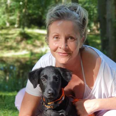 Hundetreffen-Marley sucht Freunde zum Spielen-Bild