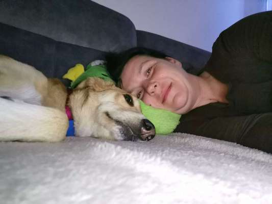 Vertrauen zwischen Hund und Halter-Beitrag-Bild