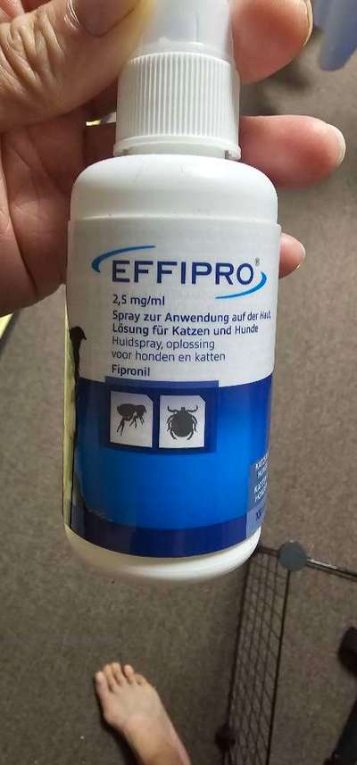 Ausschlag? Allergie? Was könnte das sein.?-Beitrag-Bild