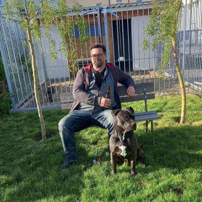 Hundetreffen-Spaß haben-Profilbild