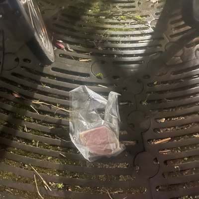 Giftköder-⚠️ Giftköder-Verdacht am Gutenbergplatz-Bild