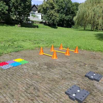 %{de_profession_title}-Therapeutische- Hundefitness-Bild