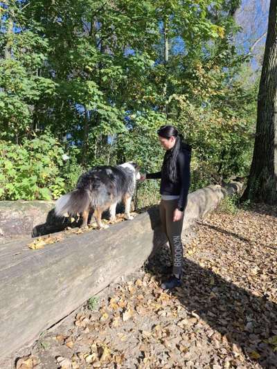 %{de_profession_title}-Spaziergang m.therapeutischen Elementen-Bild