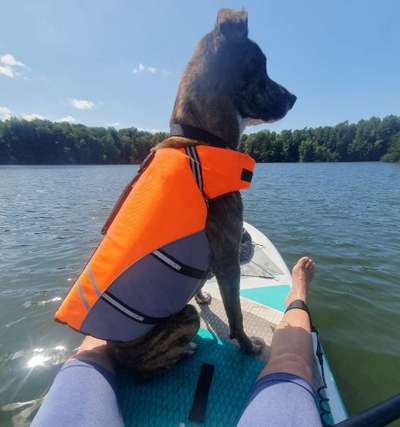 %{de_profession_title}-SUP- Stand up Paddling-Bild