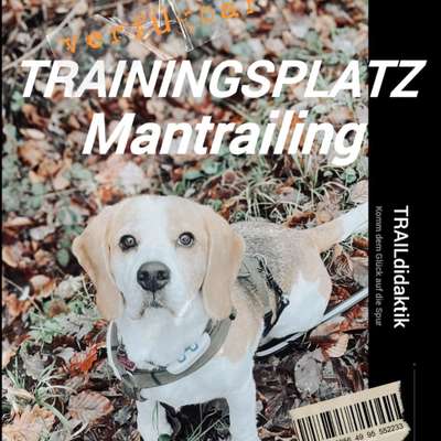Hundetreffen-Trainingsplatz Mantrailing-Bild