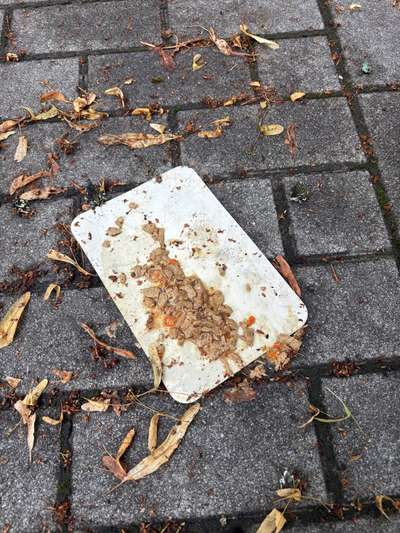 Giftköder-Giftköder-Bild