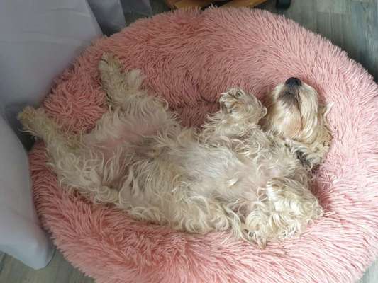 Die unbequemsten und lustigsten Schlafpositionen-Beitrag-Bild