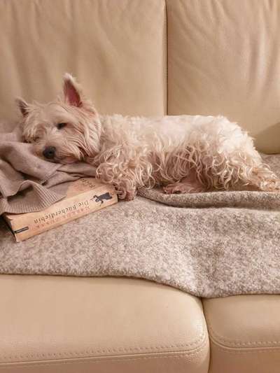 Die unbequemsten und lustigsten Schlafpositionen-Beitrag-Bild