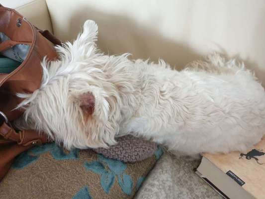 Die unbequemsten und lustigsten Schlafpositionen-Beitrag-Bild