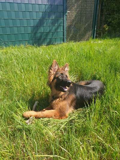 Fotochallenge 78

Es grünt und blüht-Beitrag-Bild