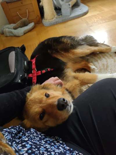 Was hat euch heute gefreut?-Beitrag-Bild