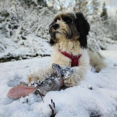 Michelle's Profilbild