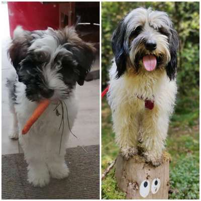 Ach, wie schnell die Zeit vergeht-Beitrag-Bild