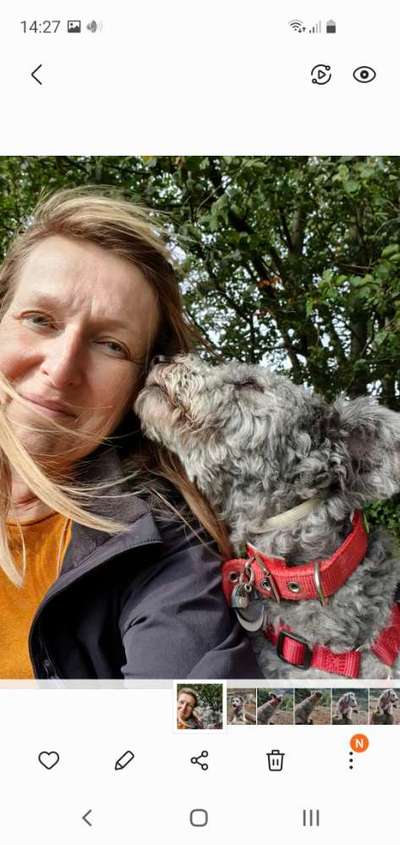 Dogorama Photo Challenge - Be my valentine-Beitrag-Bild