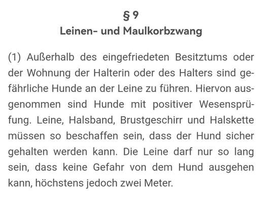 Flexileine am Halsband?-Beitrag-Bild