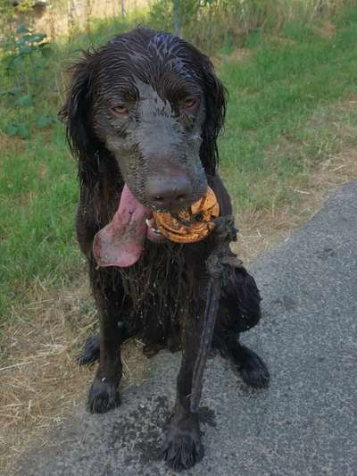 Zeige deinen Schatz mit seinem Lieblingsspielzeug.-Beitrag-Bild