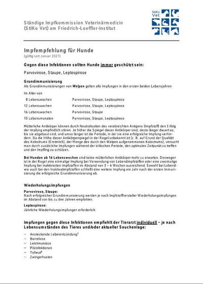 Impfung gegen Zwingerhusten notwendig?-Beitrag-Bild