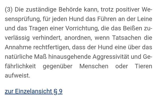 Flexileine am Halsband?-Beitrag-Bild