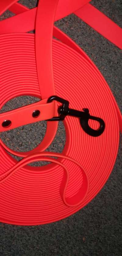 Hundesachen von Temu-Beitrag-Bild