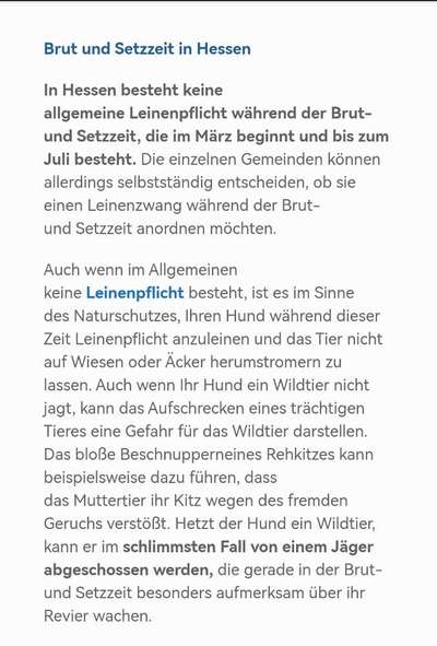 Flexileine am Halsband?-Beitrag-Bild