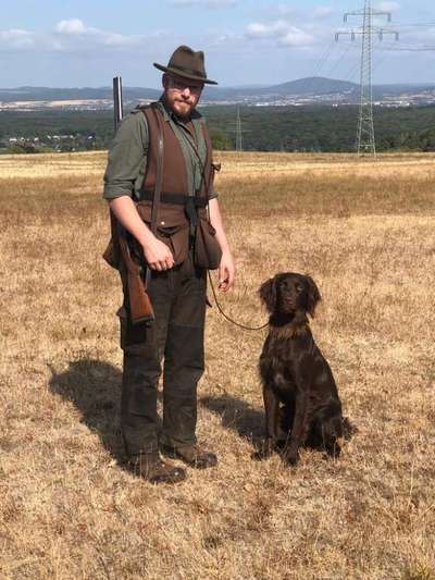 Sind hier Deutsch Kurzhaar/ Jagdhunde?-Beitrag-Bild