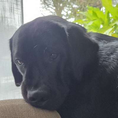 Christin's Profilbild