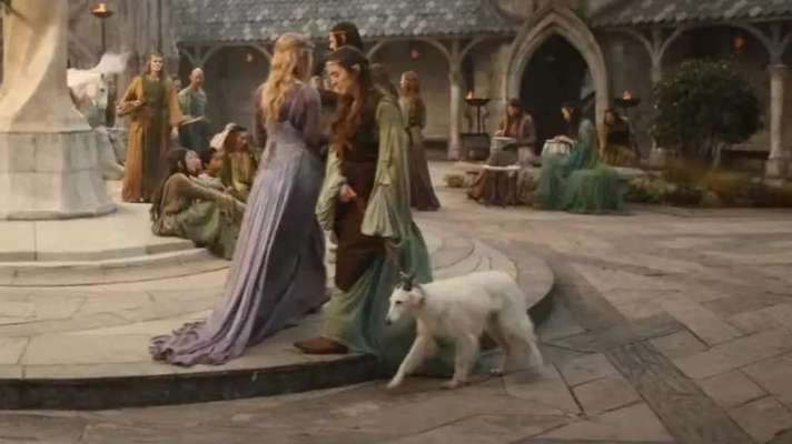 Nadel im Heuhaufen gesucht - mittelgroße Begleithunderasse-Beitrag-Bild