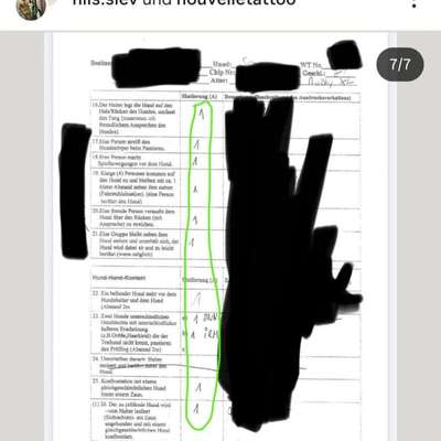 Der Fall "Sam" - Angriff oder missglückter Rettungsversuch?-Beitrag-Bild