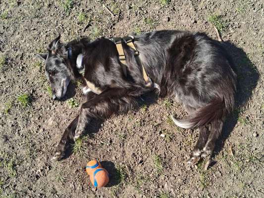 Häufige Vorurteile-Beitrag-Bild