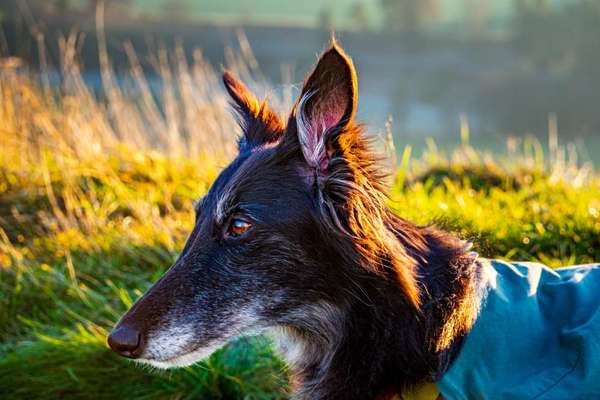 Häufige Vorurteile-Beitrag-Bild