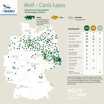 Habt ihr Angst vor dem Wolf?-Beitrag-Bild