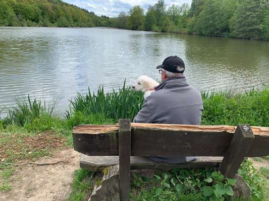 Dogorama-Monats-Challenge-Mai "Wasser"-Beitrag-Bild