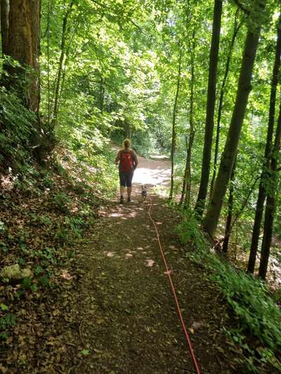 Hundeurlaub In Deutschland-Beitrag-Bild