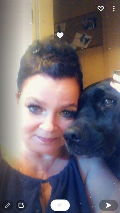 Assistenzhund-Beitrag-Bild