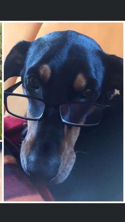 Hier ist der Spaßthread. Zum Schmunzeln und Kaputtlachen-Beitrag-Bild