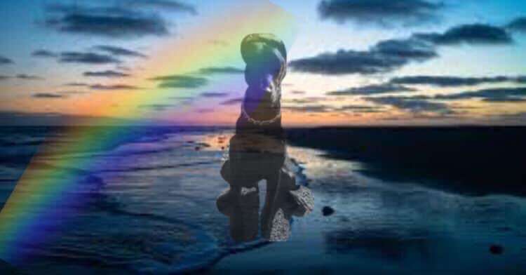 Unsere Fellnasen im Regenbogenland-Beitrag-Bild