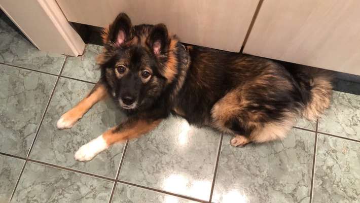 Namenssuche-Beitrag-Bild