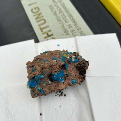 Giftköder-Giftköder im Garten-Bild