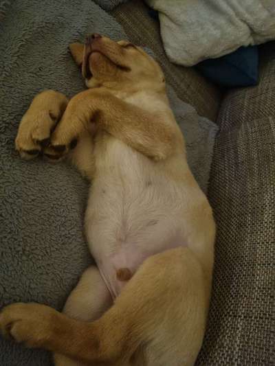 Fotochallenge Nr.65-Beitrag-Bild