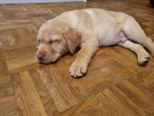 Foto Challenge 82-Beitrag-Bild