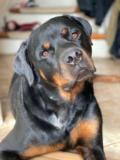 Lieblingsbild-Beitrag-Bild