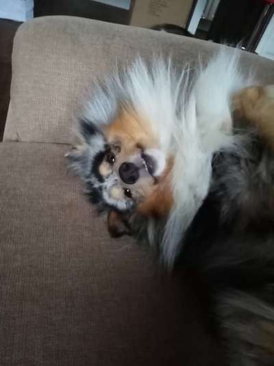 Fotochallenge Nr.122-Beitrag-Bild