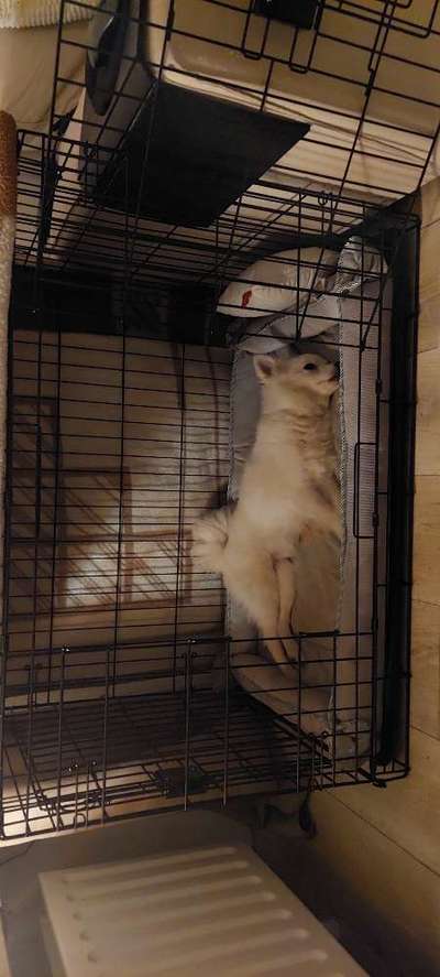 Rückzugsort-Beitrag-Bild